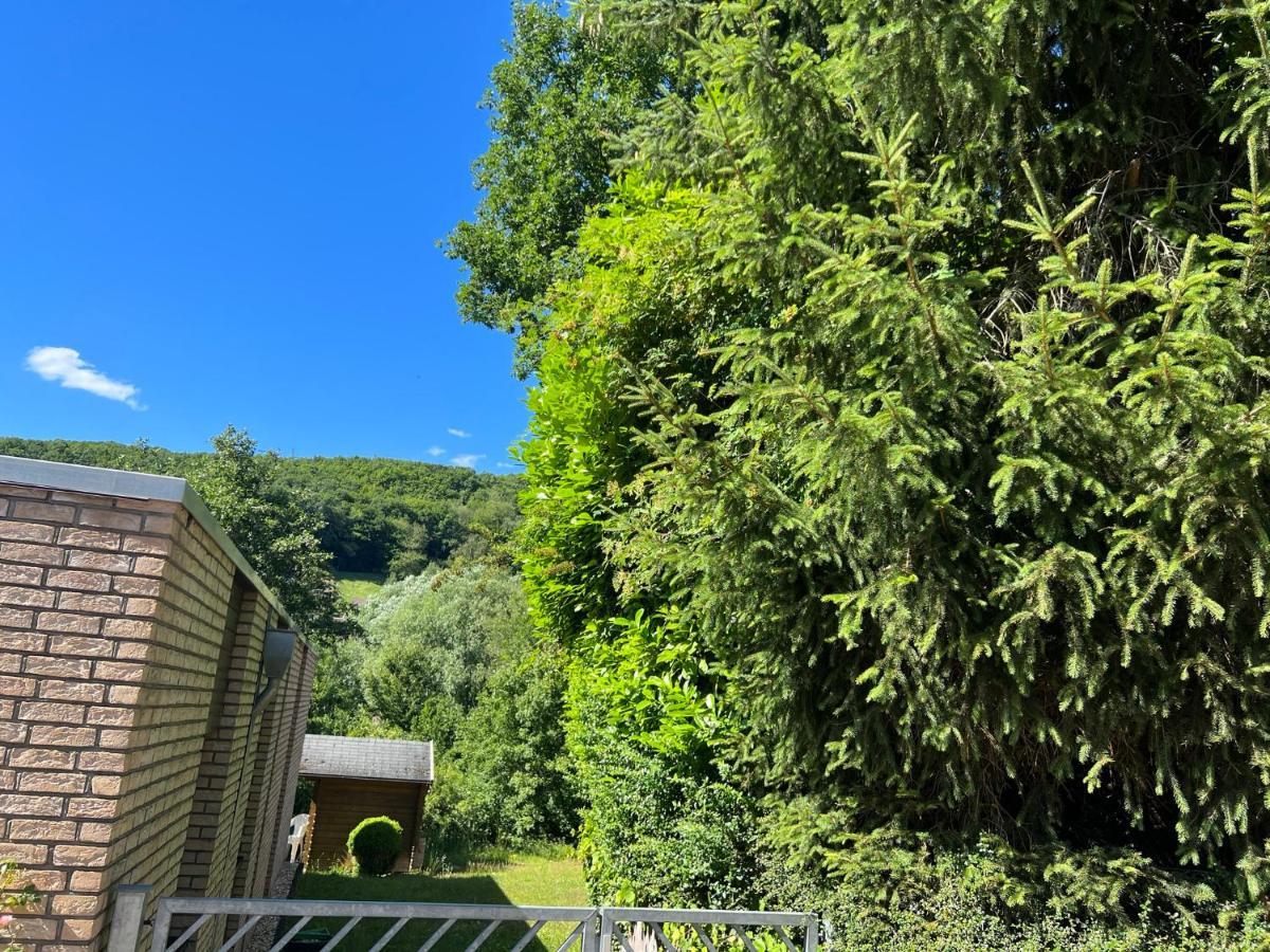 Gaestehaus Zum Buchenweg Hasenfeld Kültér fotó